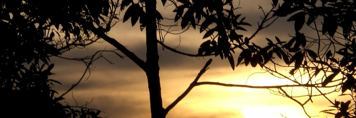 AmardiasAna's profile banner image