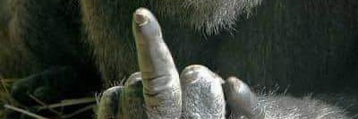 Omobalogun44's profile banner image