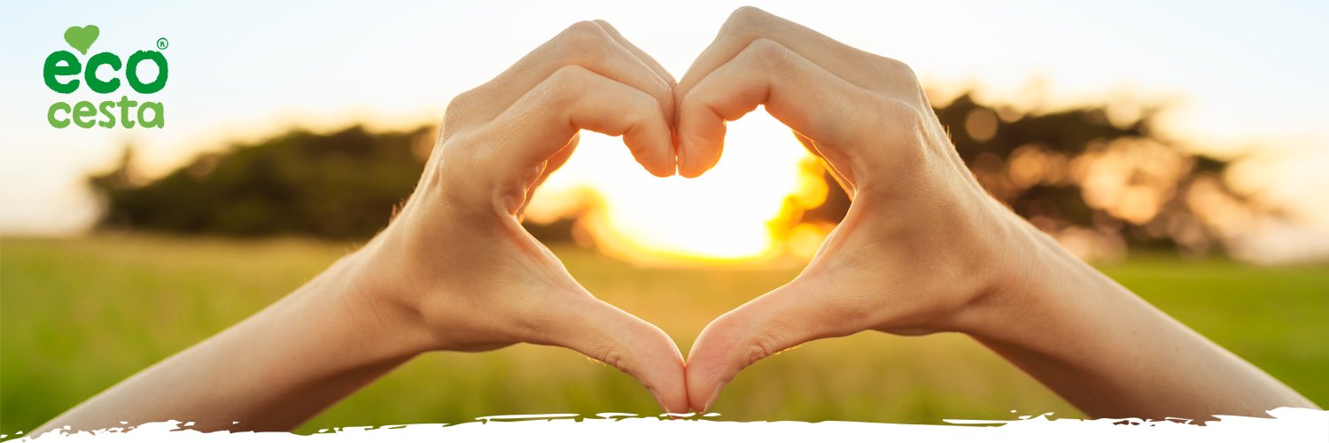 ecocesta banner