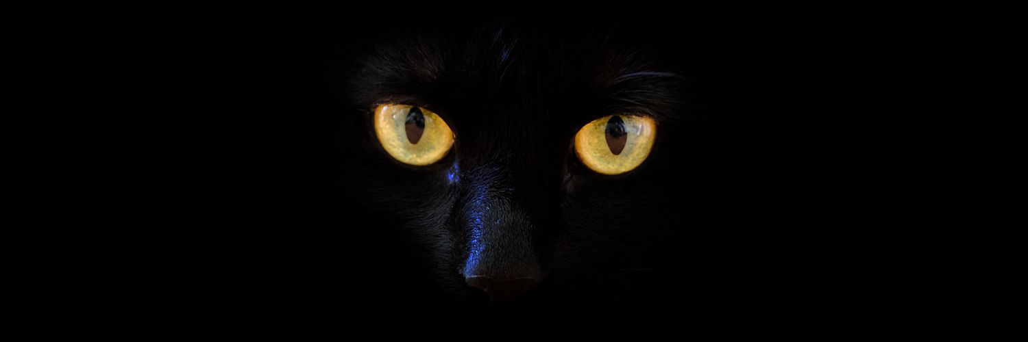 Chuofplays🎭 banner