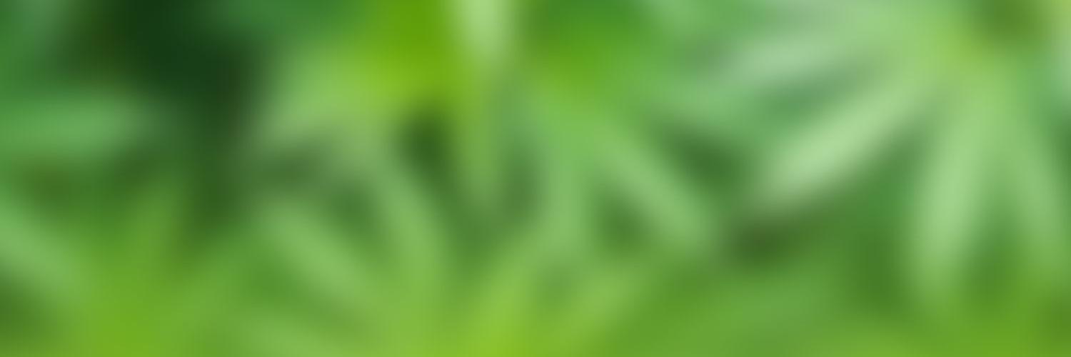 THCBioMed's profile banner image