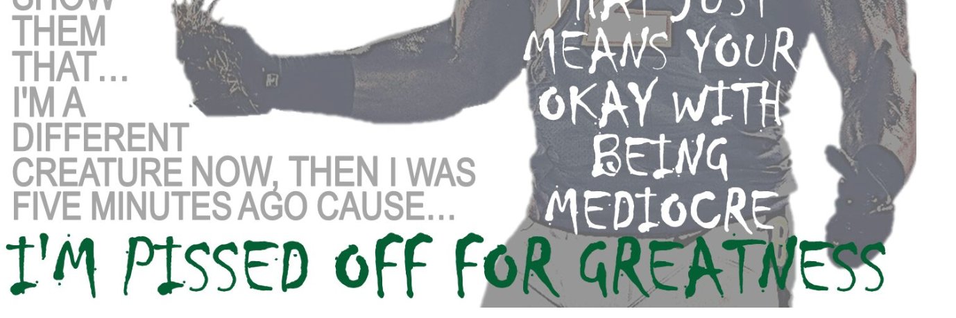 Craig Rosenberg banner