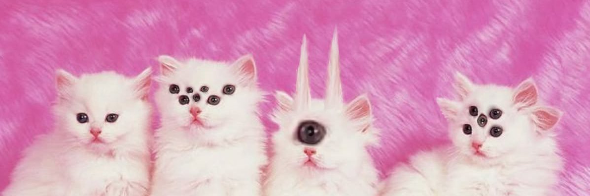 putascalvas's profile banner image