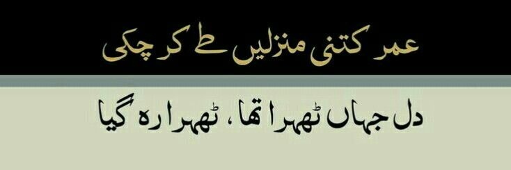 Miss AS🇵🇸 banner