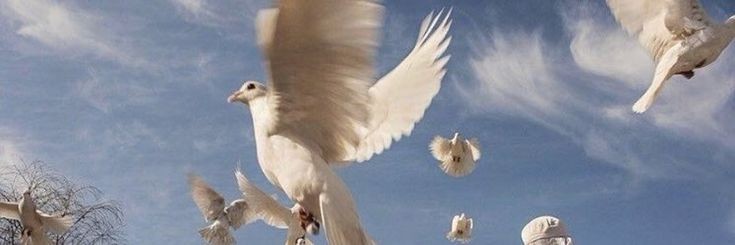 ☁ banner