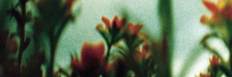 Spilkmilled's profile banner image