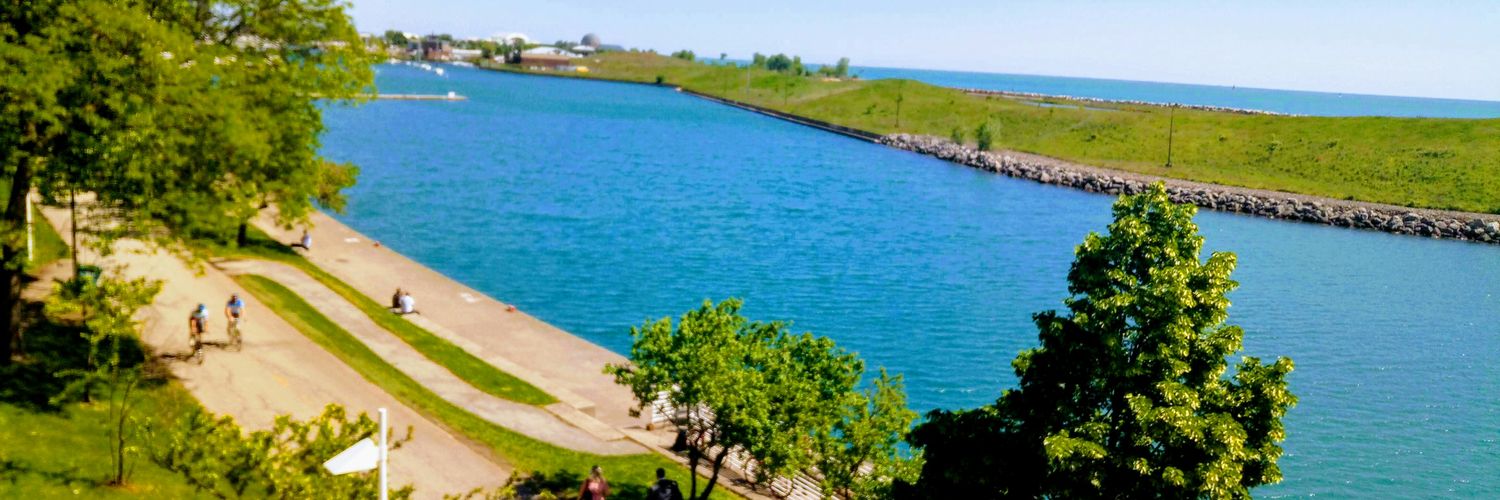 Bookie phronesis 🇬🇧🇨🇦🇮🇪🇳🇬 banner