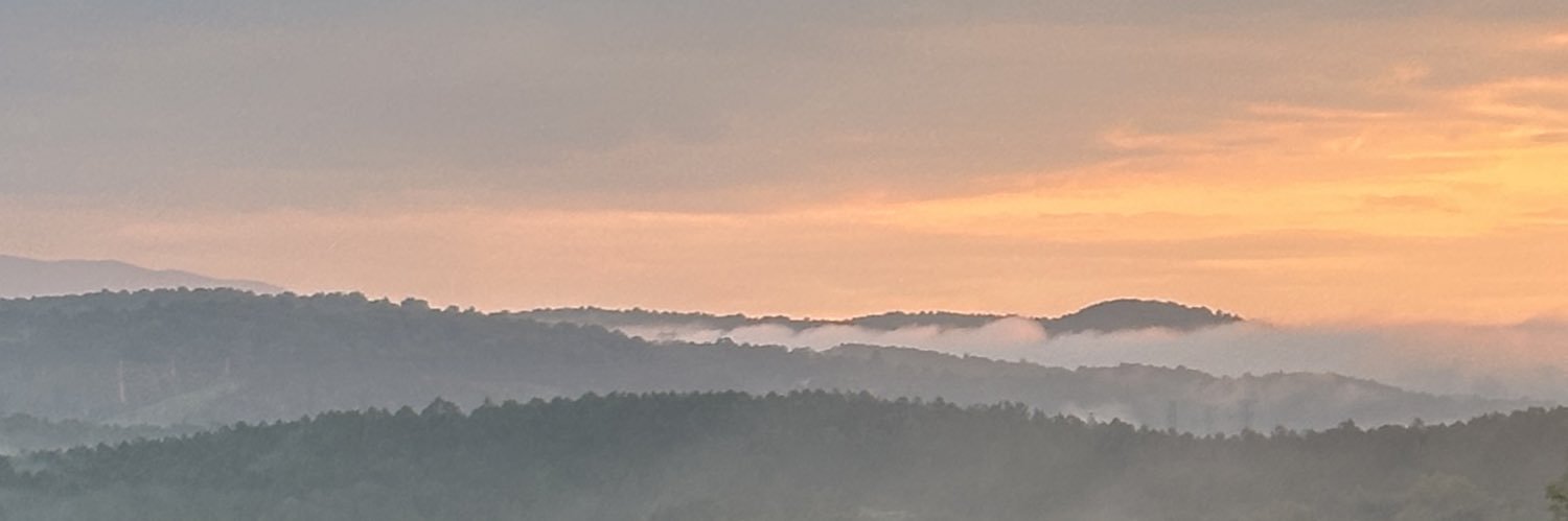 ElissaWyne's profile banner image