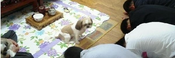 luckydaemacho Profile Banner