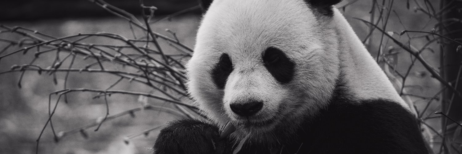 Tatted_panda1's profile banner image