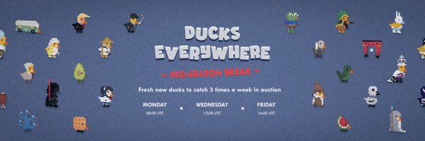 DucksEverywher2 Profile Banner