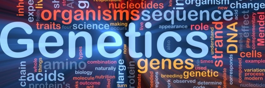 Roberto Avendaño banner