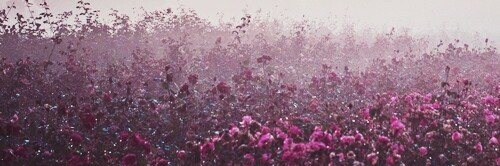 she_0a's profile banner image
