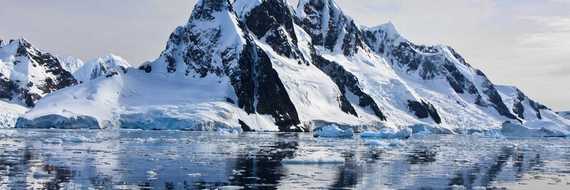 Vincent Rosso banner