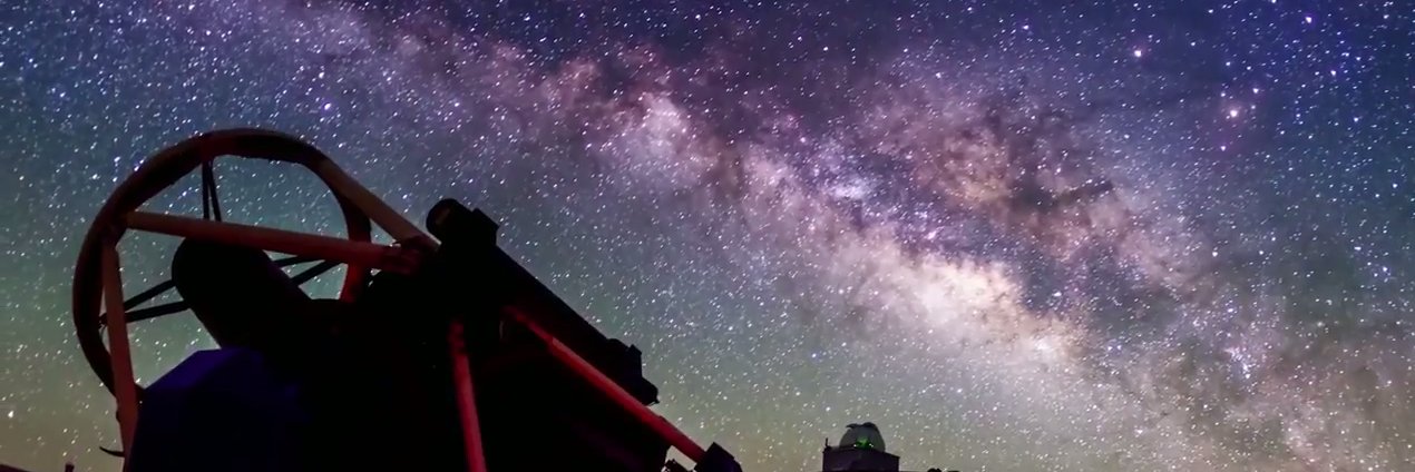 Dr. Helen Jermak banner