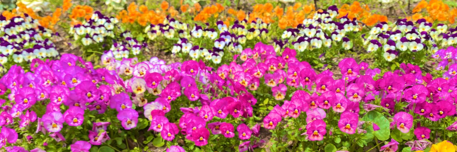 __Usak0__'s profile banner image