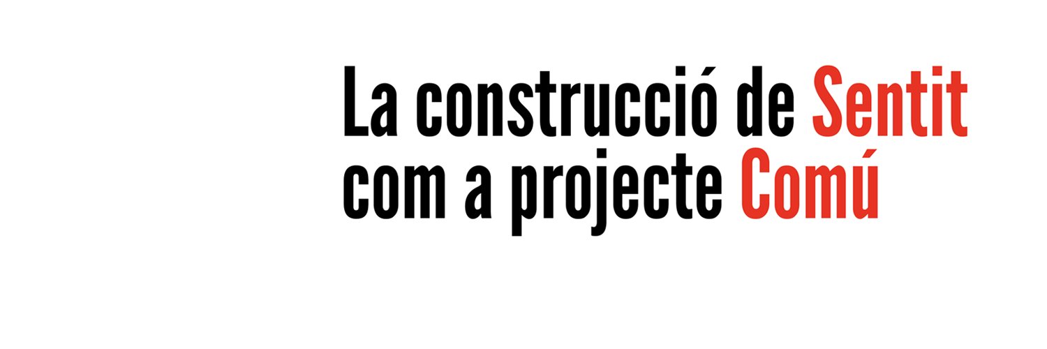 Fundació Sentit Comú banner