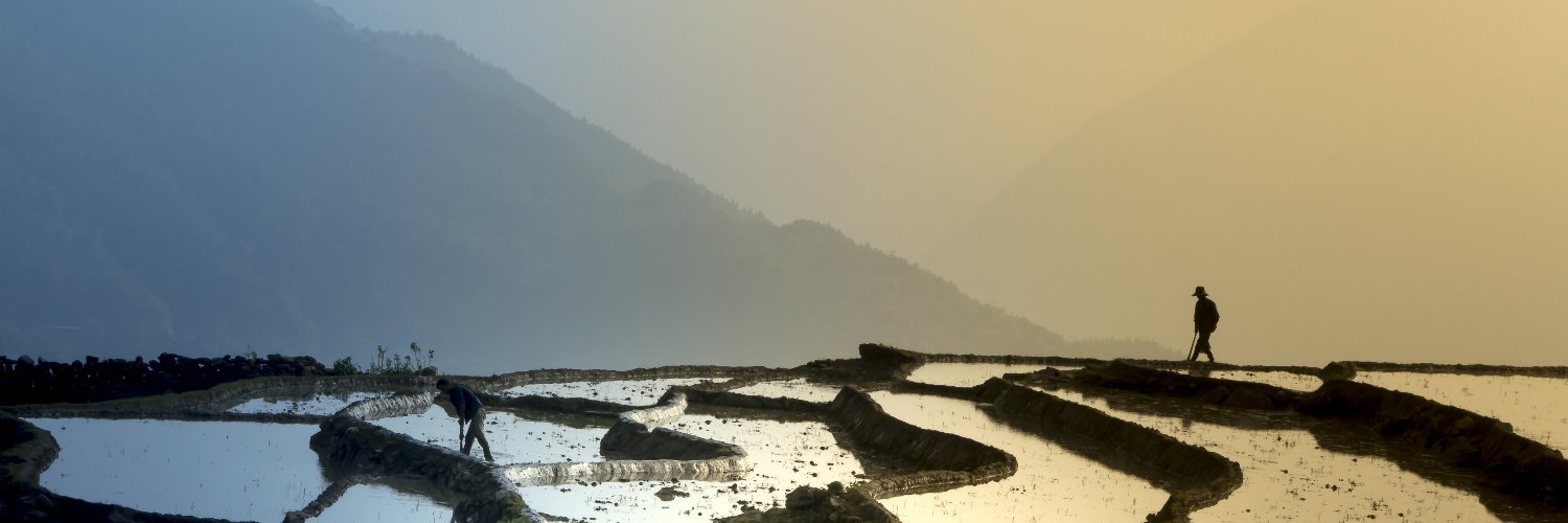 Thanh Vân banner
