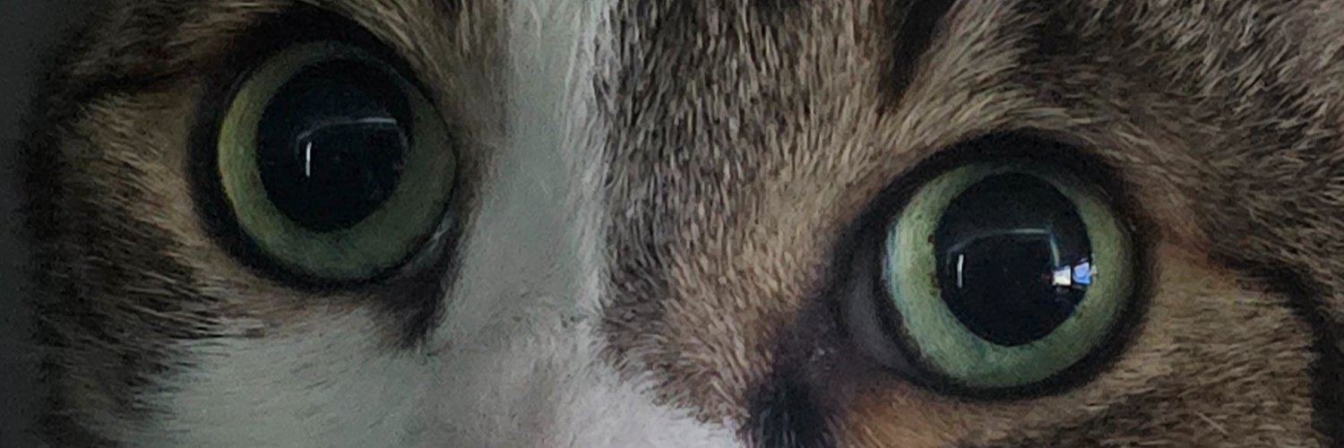 rbts6000's profile banner image