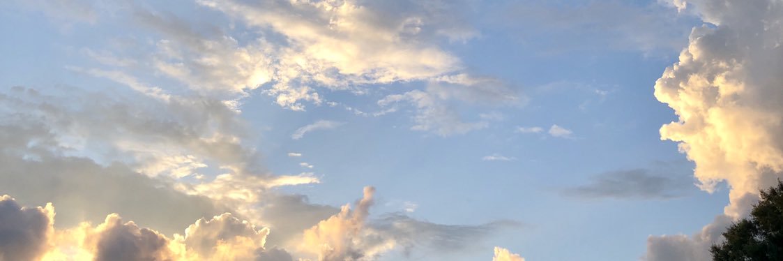 pamabc3340's profile banner image