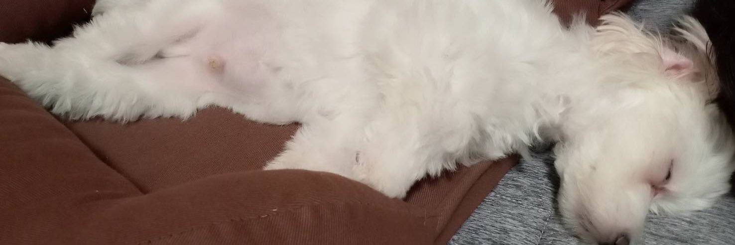 takyyy99's profile banner image