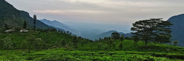 whizkidd Profile Banner