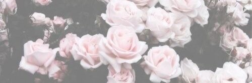 JessicaWandless's profile banner image
