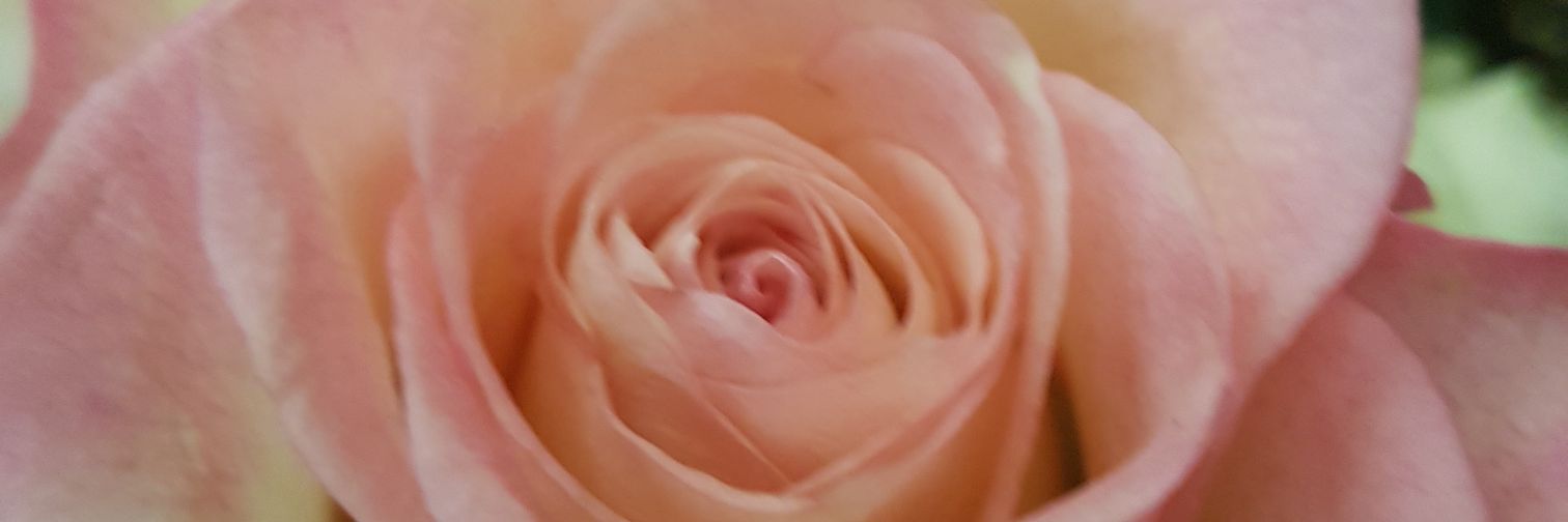 SuzanKattoa's profile banner image