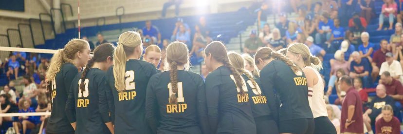 Ashley Euston banner