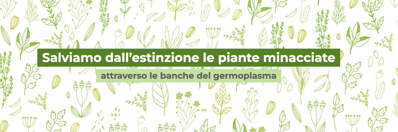 LIFE SEEDFORCE banner