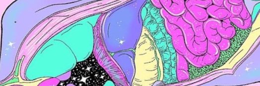 InesdeTavira's profile banner image