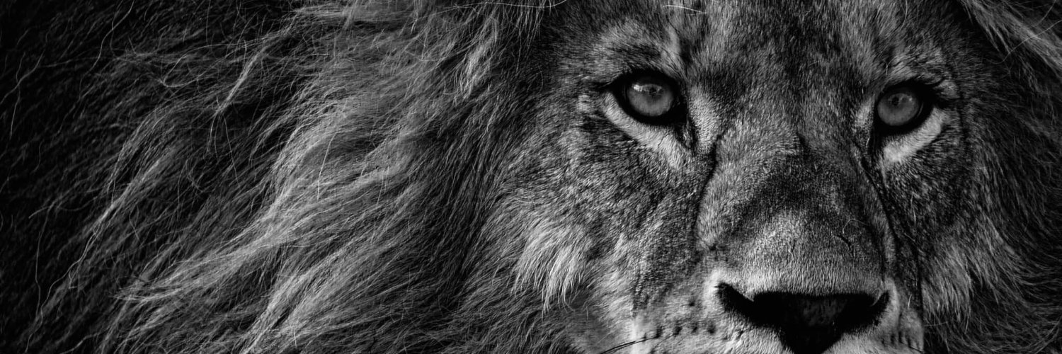 Simunza S. Muyangana banner