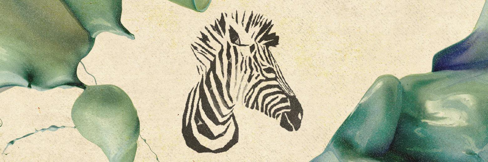 collected1music's profile banner image