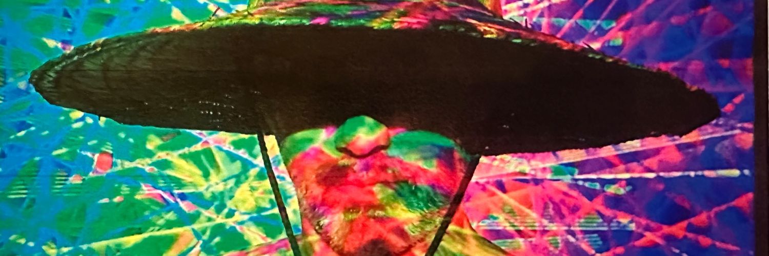 redeyelou.x's banner