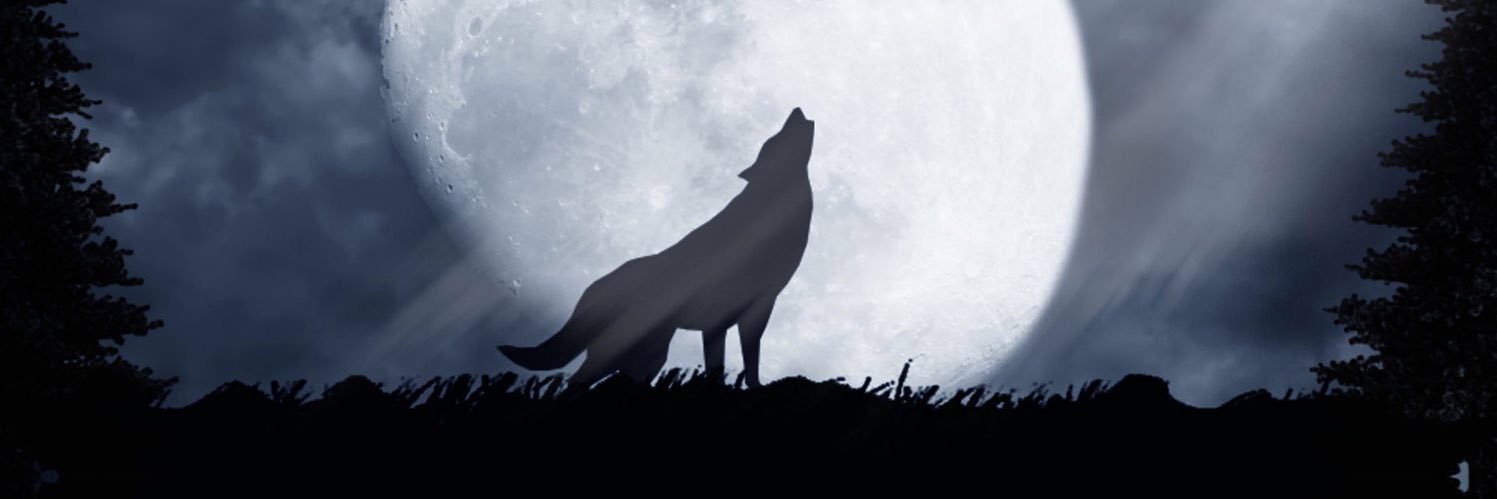 𝐖𝐎𝐋𝐅. banner