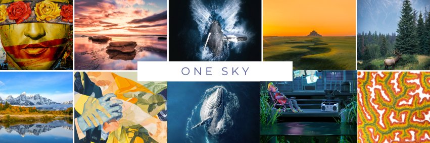 OneSkyCollective banner