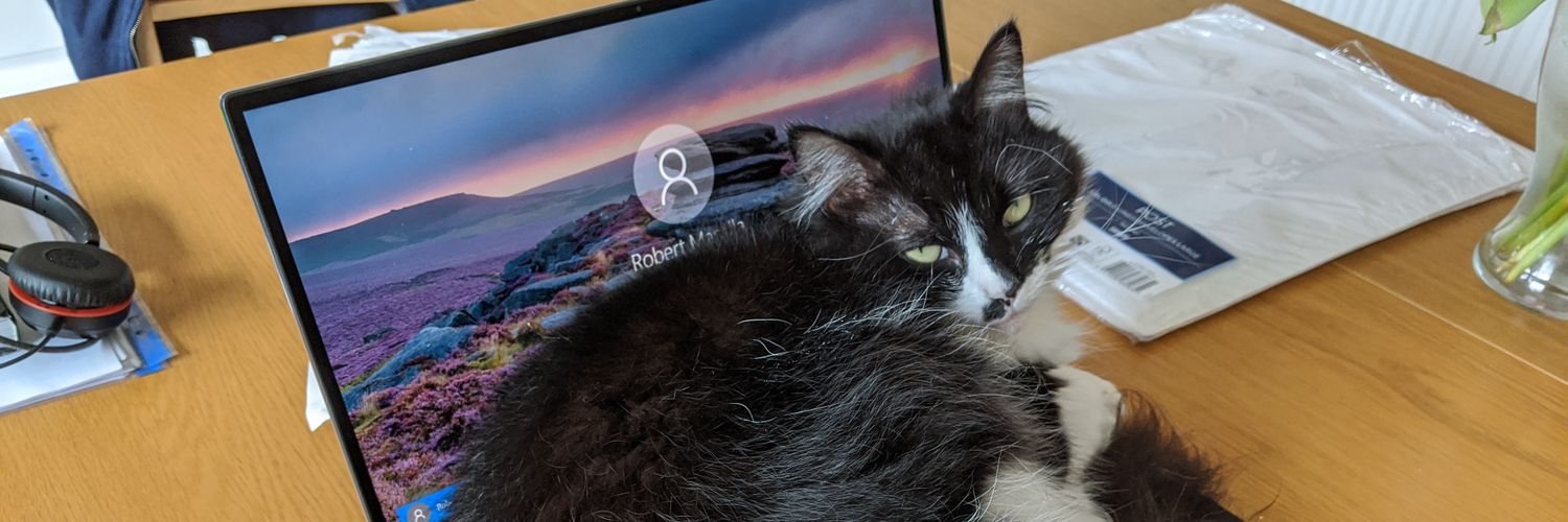 Robert Masella banner