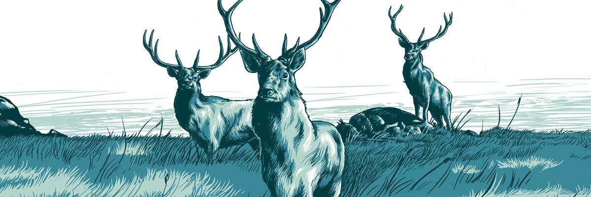giodif's profile banner image