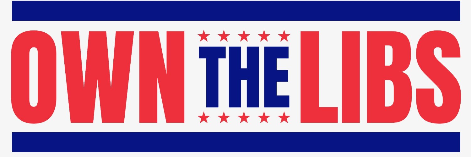 OwnTheLibsGame banner