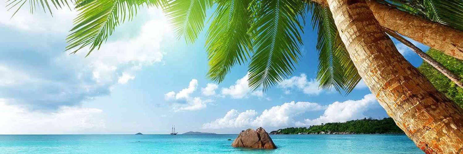 PassiveTurtle.stars banner