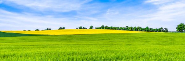 Prospera_Energy Profile Banner