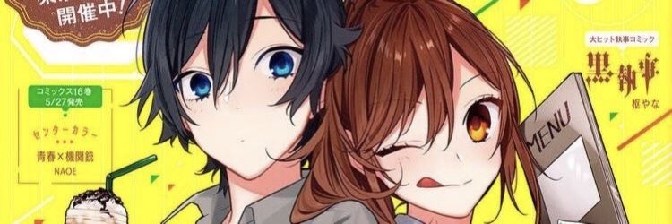 Braay banner