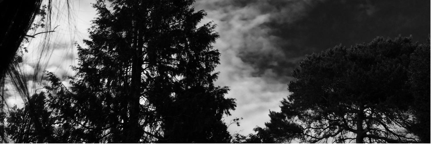 perveen's profile banner image