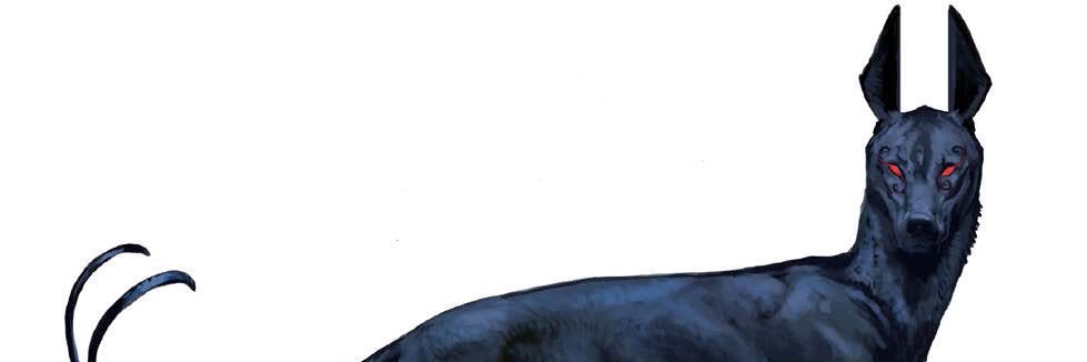 Antioch Grey🦚 banner