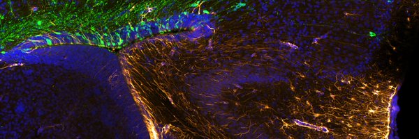 dylanablack Profile Banner