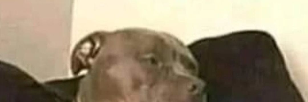 zicolargee's profile banner image