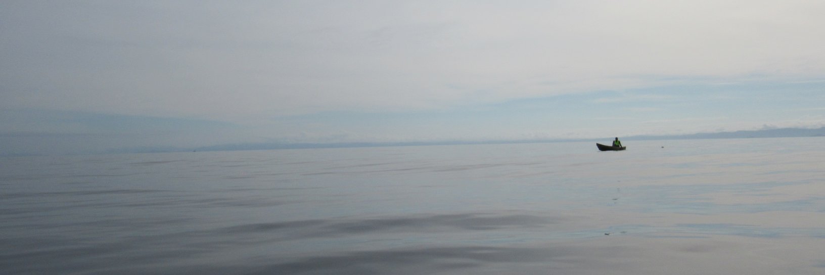 eligrand's profile banner image