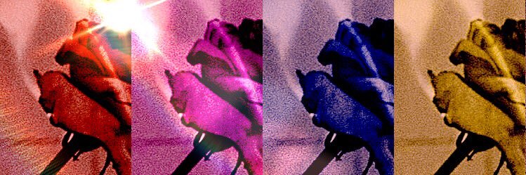 imaustinharney's profile banner image