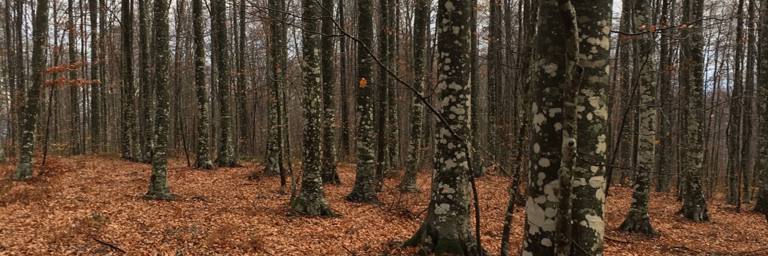 igulden76's profile banner image