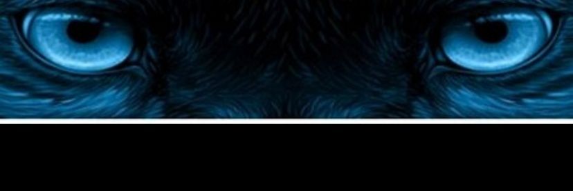 Calea Bush banner